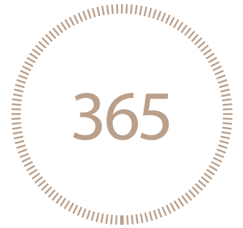 Online Shop: 365 Tage